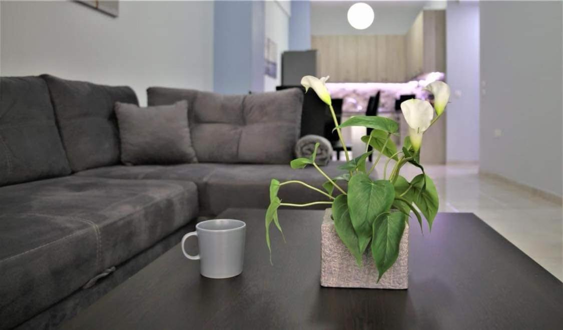Lovely Apartment In The Center Of Athens. エクステリア 写真